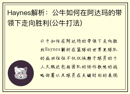 Haynes解析：公牛如何在阿达玛的带领下走向胜利(公牛打法)